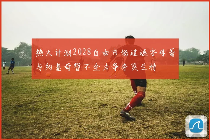 热火计划2028自由市场追逐字母哥与约基奇暂不全力争夺莫兰特
